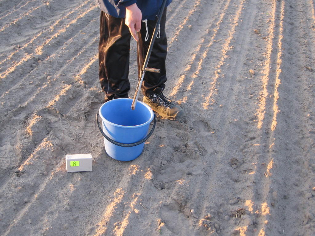 Jak prawidłowo pobrać próbkę gleby do badań?