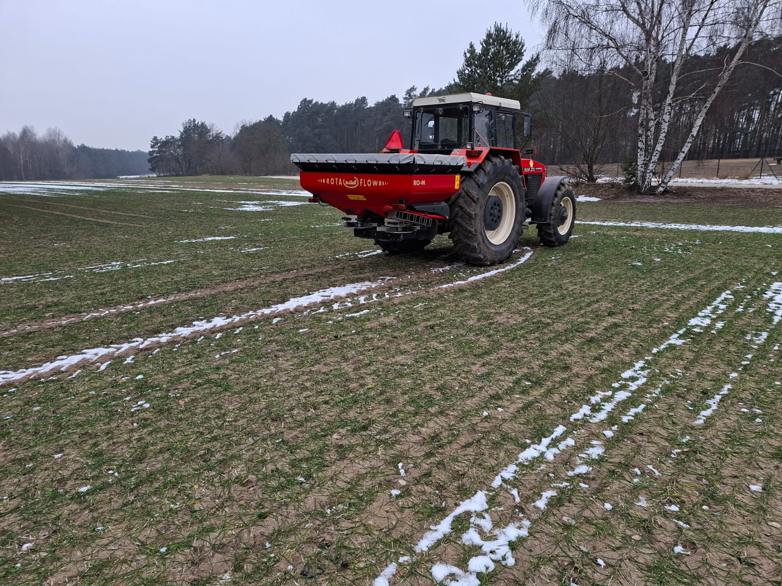 Siarka na wczesną wiosnę